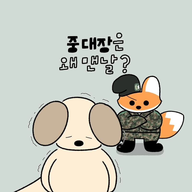 중대장은 왜 맨날?